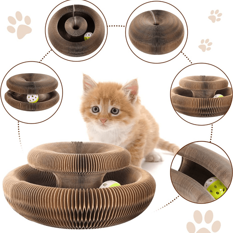 Brinquedo Interativo Para Gatos - Cat Fun +1 Bolinha de Brinde