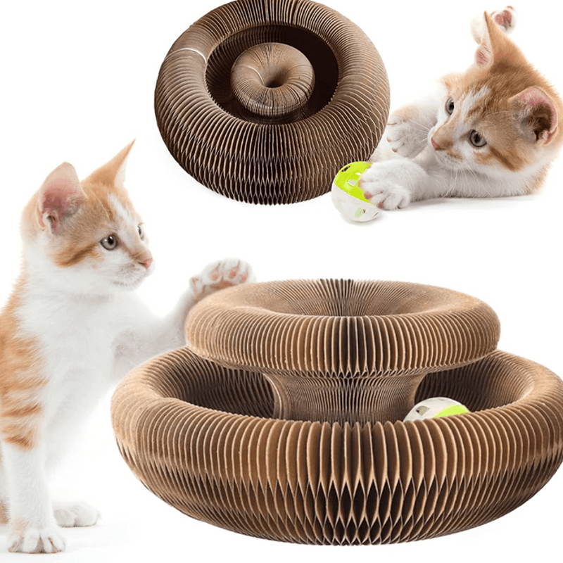 Brinquedo Interativo Para Gatos - Cat Fun +1 Bolinha de Brinde